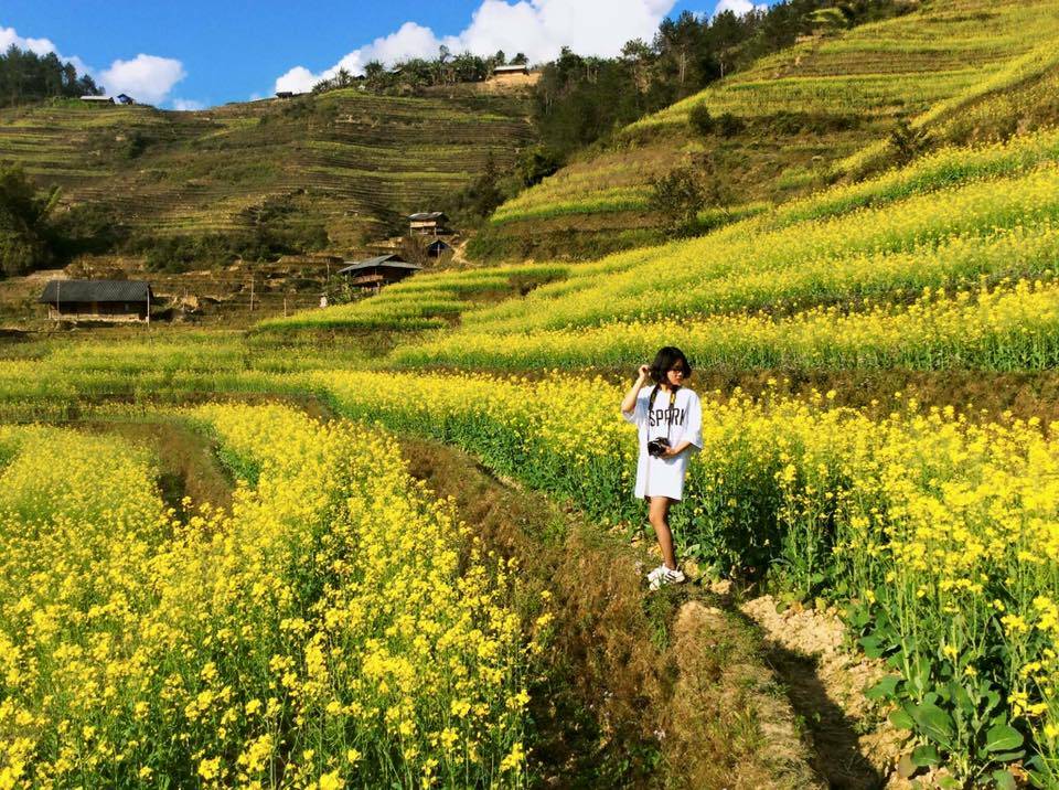 HÀ NỘI -YÊN BÁI -TÚ LỆ- MÙ CĂNG CHẢI 